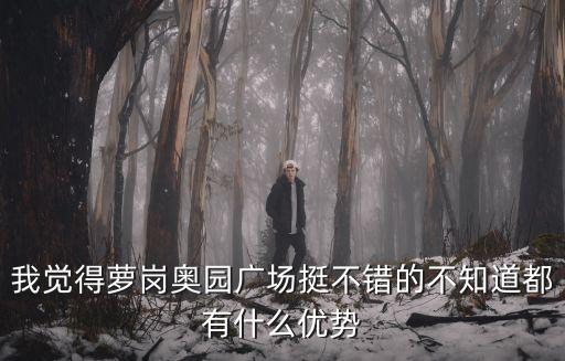 我覺得蘿崗奧園廣場挺不錯的不知道都有什么優勢