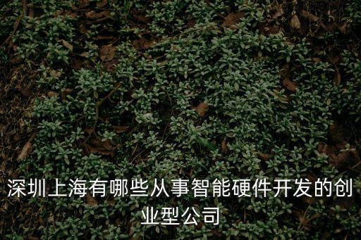 深圳上海有哪些從事智能硬件開發的創業型公司