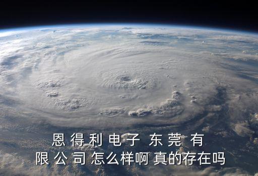 恩 得 利 電 子  東 莞  有 限 公 司 怎么樣啊 真的存在嗎