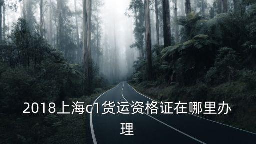 2018上海c1貨運資格證在哪里辦理