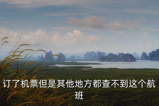 訂了機票但是其他地方都查不到這個航班