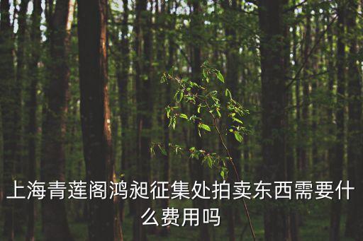 上海市鴻昶藝術(shù)品交易公司，上海鴻昶拍賣公司有拍賣資質(zhì)嗎