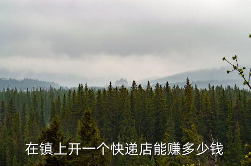 中國郵政加盟,星驛付通刷由新大陸、中國郵政控股