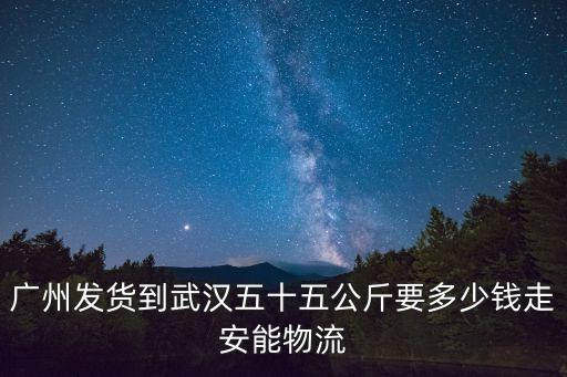 廣州進(jìn)貨物流成本，廣州發(fā)貨到武漢五十五公斤要多少錢走安能物流
