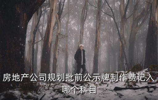 房地產(chǎn)公司規(guī)劃批前公示牌制作費記入哪個科目