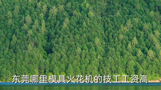 東莞哪里模具火花機的技工工資高
