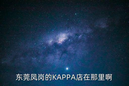 東莞鳳崗的KAPPA店在那里啊