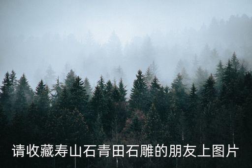 請收藏壽山石青田石雕的朋友上圖片