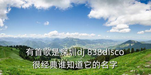 有首歌是深圳dj 838disco很經典誰知道它的名字