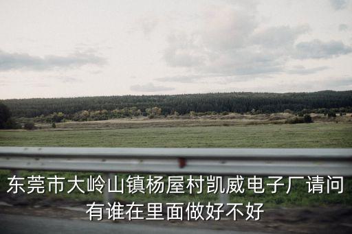 東莞市大嶺山鎮楊屋村凱威電子廠請問有誰在里面做好不好