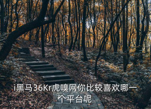 i黑馬36Kr虎嗅網你比較喜歡哪一個平臺呢