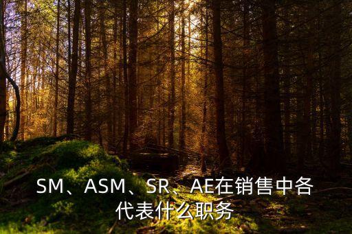 ae是什么職位,一文看懂!aec是什么?