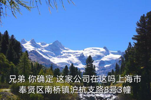 上海市王氏集團，王氏集團有限公司在中國有幾家
