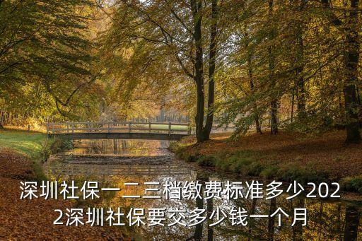 深圳社保一二三檔繳費標準多少2022深圳社保要交多少錢一個月