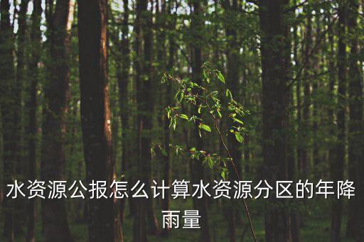水資源公報怎么計算水資源分區(qū)的年降雨量