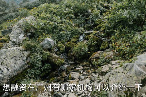 想融資在廣州有哪家機構可以介紹一下