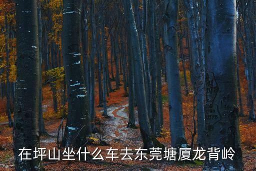 在坪山坐什么車去東莞塘廈龍背嶺