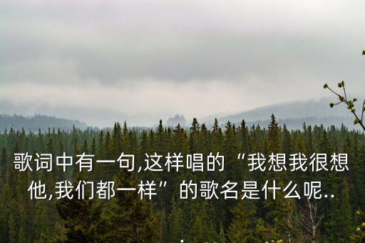歌詞中有一句,這樣唱的“我想我很想他,我們都一樣”的歌名是什么呢...