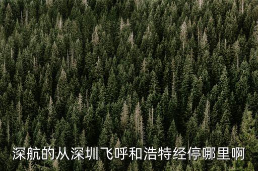 深圳航空波音7375616，深圳航空