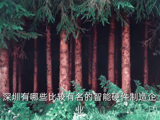 深圳有哪些比較有名的智能硬件制造企業
