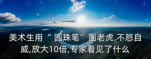 美術生用“ 圓珠筆”畫老虎,不怒自威,放大10倍,專家看見了什么