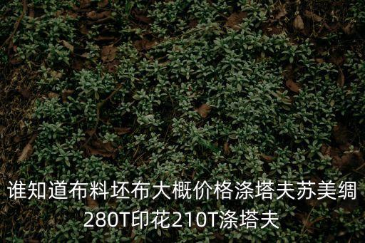 誰(shuí)知道布料坯布大概價(jià)格滌塔夫蘇美綢280T印花210T滌塔夫