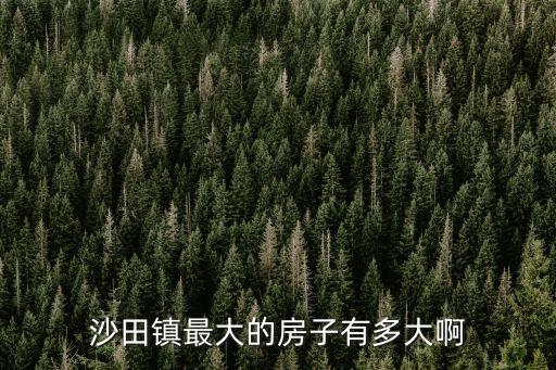 沙田鎮最大的房子有多大啊