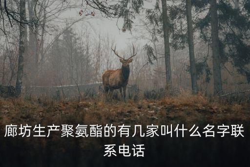 廊坊生產聚氨酯的有幾家叫什么名字聯系電話