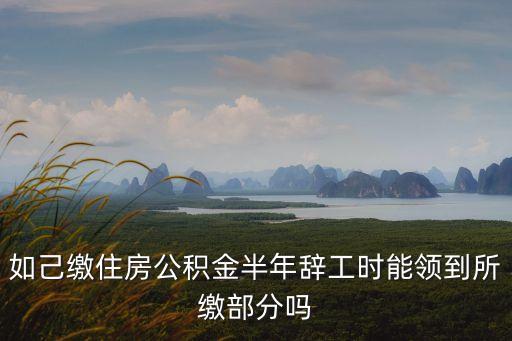 如己繳住房公積金半年辭工時能領到所繳部分嗎