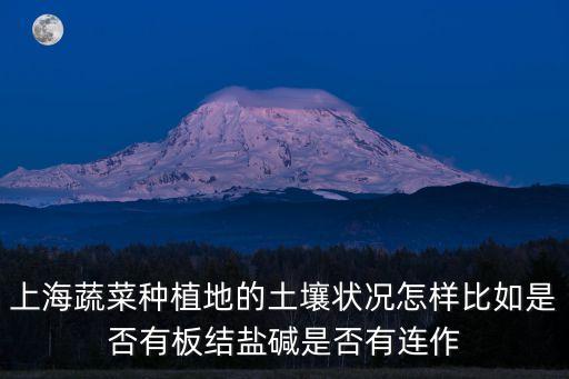 上海蔬菜種植地的土壤狀況怎樣比如是否有板結鹽堿是否有連作