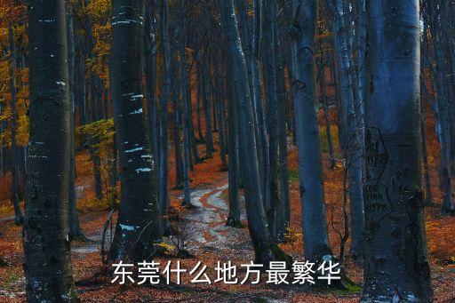 東莞什么地方最繁華