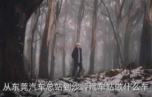 從東莞汽車總站到沙嶺汽車站做什么車