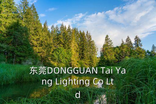 東莞DONGGUAN Tai Yang Lighting Co Ltd