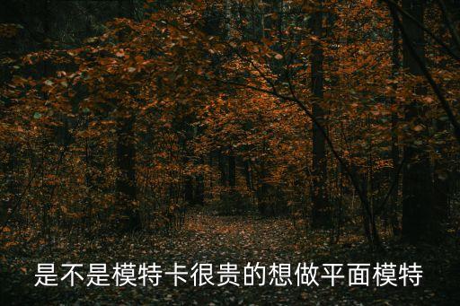 是不是模特卡很貴的想做平面模特