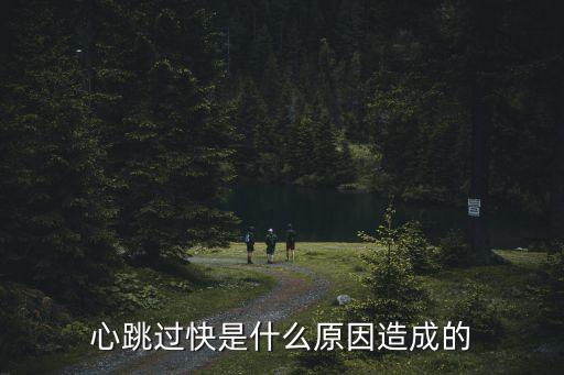 心率快是怎么回事,血壓正常,心率快是怎么回事