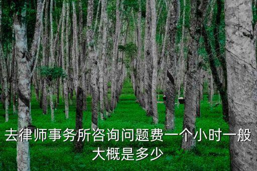上海市現(xiàn)行咨詢服務(wù)費用標準，上海律師收費標準 是多少啊想打官司但是不知道價格價位適中的就