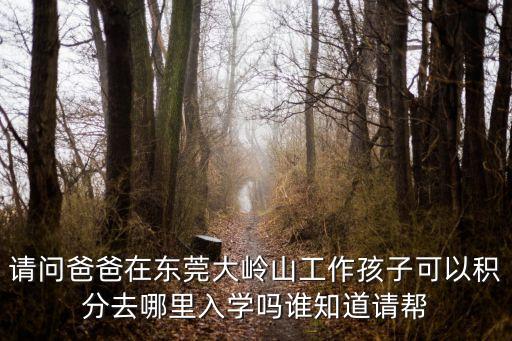 請問爸爸在東莞大嶺山工作孩子可以積分去哪里入學(xué)嗎誰知道請幫