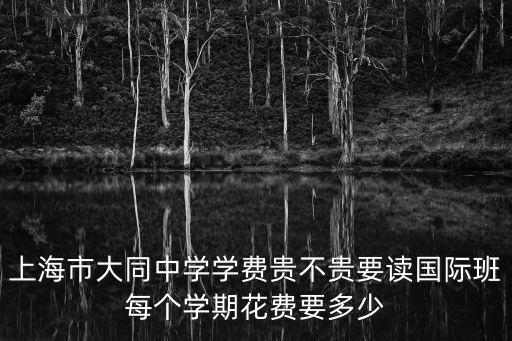 上海市大同中學金匯，上海市大同中學學費貴不貴要讀國際班每個學期花費要多少
