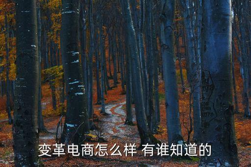 深圳市變革電子商務(wù)有限公司，深圳變革電商有限公司全店做的怎么樣做的好嗎