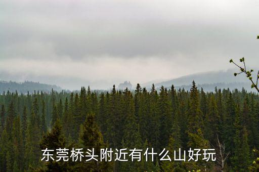 東莞橋頭附近有什么山好玩