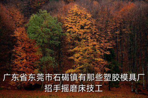 東莞石碣劉屋日星塑膠廠，廣東省東莞市石碣鎮有那些塑膠模具廠招手搖磨床技工