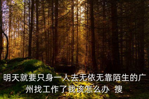 明天就要只身一人去無依無靠陌生的廣州找工作了我該怎么辦  搜