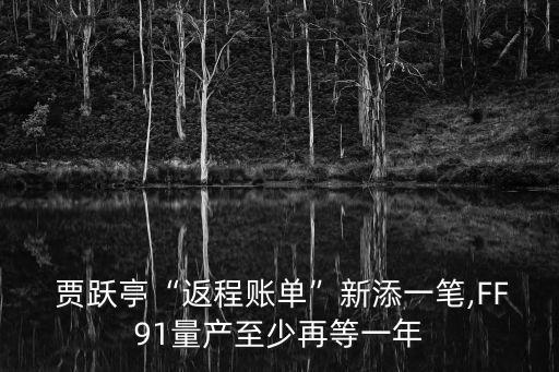 樂視賈躍亭