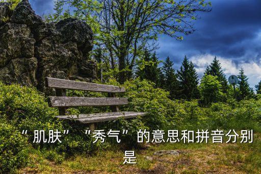 “ 肌膚”“秀氣”的意思和拼音分別是
