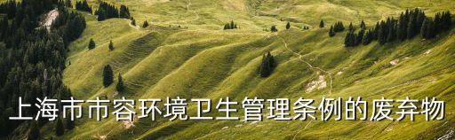 上海市市容環(huán)境衛(wèi)生管理?xiàng)l例的廢棄物