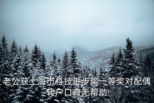 上海市科技進步獎魏冬青，靠什么斬獲科技進步一等獎