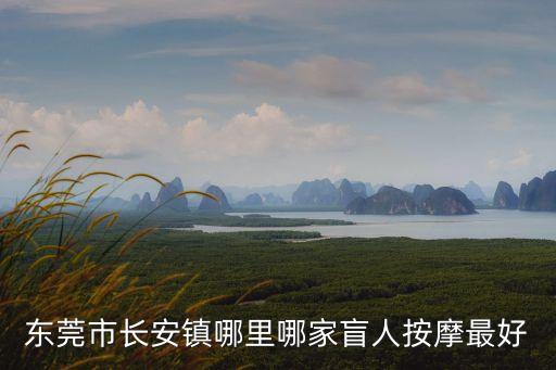 東莞盲管哪家好，東莞哪家職業介紹所信譽比較好