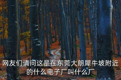 東莞博睿電子，我想了解一下關于電子組裝的 請問東莞有沒有做這個的廠