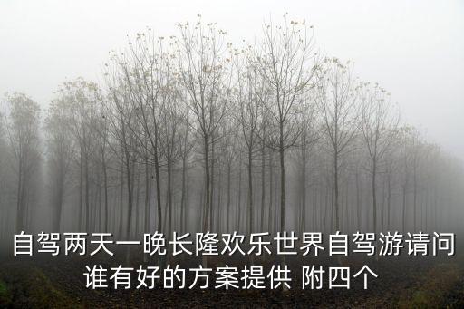 自駕兩天一晚長隆歡樂世界自駕游請問誰有好的方案提供 附四個