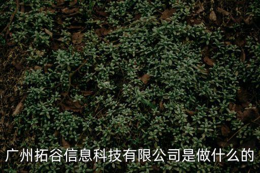 廣州拓谷信息科技有限公司是做什么的
